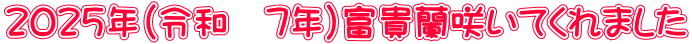２０２５年（令和　7年）富貴蘭咲いてくれました