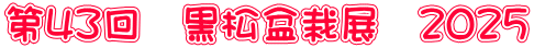 第４３回　黒松盆栽展　２０２５
