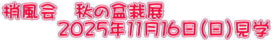 梢風会　秋の盆栽展 　　　２０２５年11月１６日（日）見学