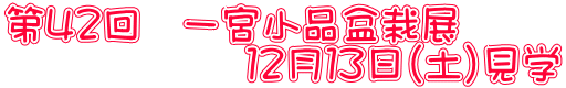 第４２回　一宮小品盆栽展 　　　　　　１２月１３日（土）見学