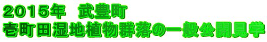 QOPTN@L 뒬cnAQ̈ʌJw