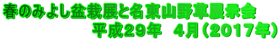 春のみよし盆栽展と名東山野草展示会 　　　　　　　　平成２９年　４月（２０１７年）