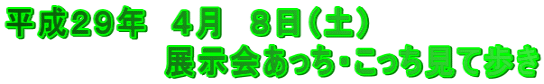 平成２９年　４月　８日（土） 　　　　　　　展示会あっち・こっち見て歩き