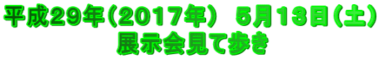 平成２９年（２０１７年）　５月１３日（土） 　　　　　　　展示会見て歩き