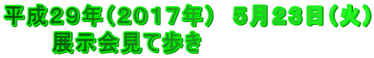 平成２９年（２０１７年）　５月２３日（火） 　　　展示会見て歩き