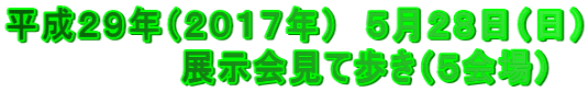 平成２９年（２０１７年）　５月２８日（日） 　　　　　　　展示会見て歩き（５会場）