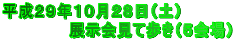 平成２９年１０月２８日（土） 　　　　　　展示会見て歩き（５会場）