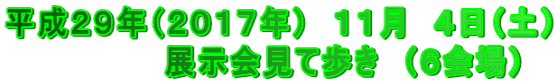 平成２９年（２０１７年）　１１月　４日（土） 　　　　　　　展示会見て歩き　（６会場）