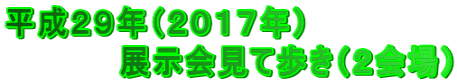 平成２９年（２０１７年） 　　　　　展示会見て歩き（２会場）