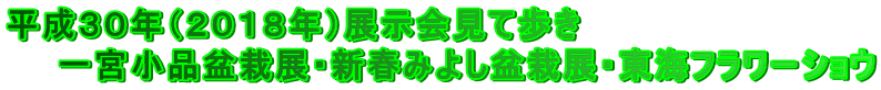 平成３０年（２０１８年）展示会見て歩き 　　一宮小品盆栽展・新春みよし盆栽展・東海フラワーショウ