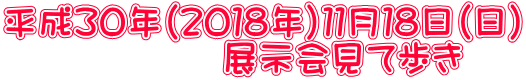 平成３０年（２０１８年）１１月１８日（日） 　　　　　　展示会見て歩き