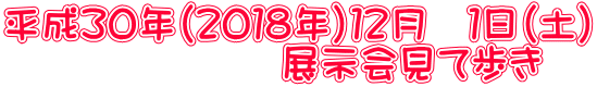 平成３０年（２０１８年）１２月　１日（土） 　　　　　　　展示会見て歩き