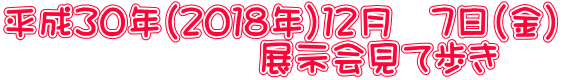 平成３０年（２０１８年）１２月　７日（金） 　　　　　　　展示会見て歩き