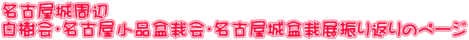 名古屋城周辺 白樹会・名古屋小品盆栽会・名古屋城盆栽展振り返りのページ