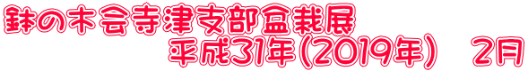 鉢の木会寺津支部盆栽展 　　　　　平成３１年（２０１９年）　２月