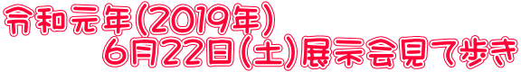 令和元年（２０１９年） 　　　６月２２日（土）展示会見て歩き