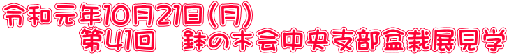 令和元年１０月２１日（月） 　　　第４１回　鉢の木会中央支部盆栽展見学