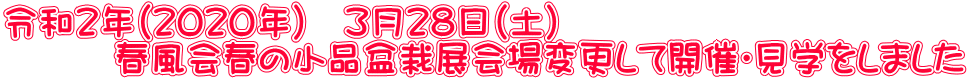 令和２年（２０２０年）　３月２８日（土） 　　　春風会春の小品盆栽展会場変更して開催・見学をしました