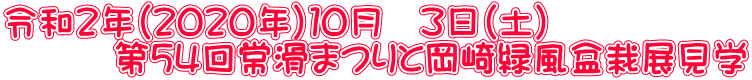 令和２年（２０２０年）１０月　３日（土） 　　　第５４回常滑まつりと岡崎緑風盆栽展見学