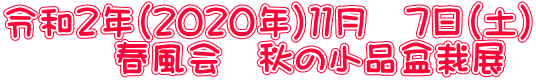 令和２年（２０２０年）１１月　７日（土） 　　　春風会　秋の小品盆栽展