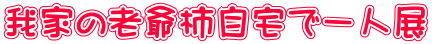 我家の老爺柿自宅で一人展