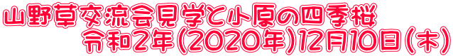 山野草交流会見学と小原の四季桜 　　　令和２年（２０２０年）１２月１０日（木）