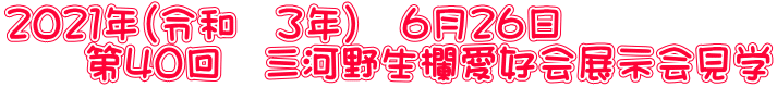 ２０２１年（令和　３年）　６月２６日 　　第４０回　三河野生欄愛好会展示会見学