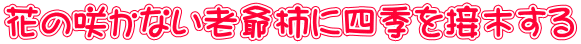 花の咲かない老爺柿に四季を接木する