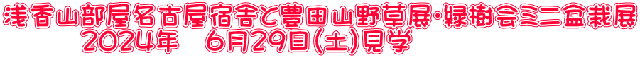 浅香山部屋名古屋宿舎と豊田山野草展・緑樹会ミニ盆栽展 　　　２０２４年　６月２９日（土）見学 