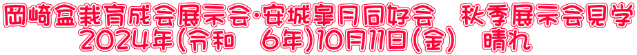 岡崎盆栽育成会展示会・安城皐月同好会　秋季展示会見学 　　　２０２４年（令和　６年）１０月１１日（金）　晴れ 