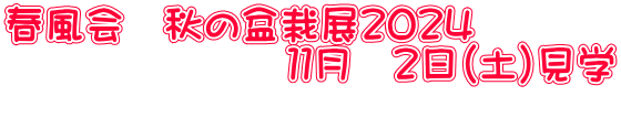 春風会　秋の盆栽展２０２４ 　　　　　　　１１月　２日（土）見学 　　　