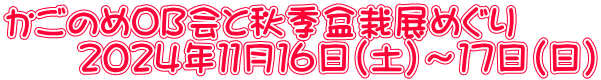 かごのめOB会と秋季盆栽展めぐり 　　２０２４年１１月１６日（土）～１７日（日）