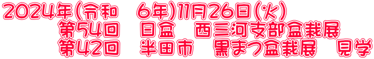 ２０２４年（令和　６年）１１月２６日（火） 　　　第５４回　日盆　西三河支部盆栽展 　　　第４２回　半田市　黒まつ盆栽展　見学