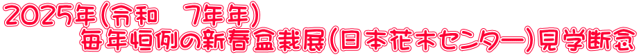 ２０２５年（令和　7年年） 　　　毎年恒例の新春盆栽展（日本花木センター）見学断念