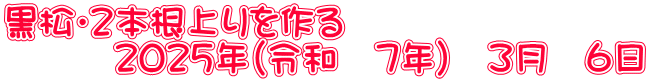 黒松・２本根上りを作る 　　　２０２５年（令和　７年）　３月　６日