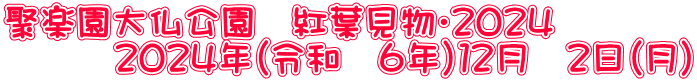 聚楽園大仏公園　紅葉見物・２０２４ 　　　２０２４年（令和　６年）１２月　２日（月）