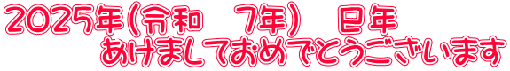 ２０２５年（令和　7年）　巳年 　　　あけましておめでとうございます