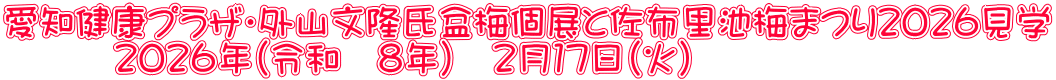 愛知健康プラザ・外山文隆氏盆梅個展と佐布里池梅まつり２０２６見学 　　　２０２６年（令和　８年）　２月１７日（火）